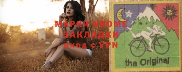 сатива Ахтубинск