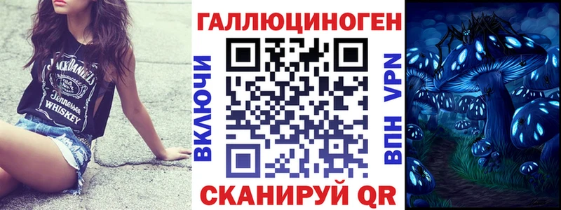 наркота  Елец  гидра маркетплейс  Псилоцибиновые грибы Magic Shrooms 